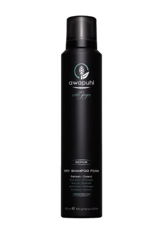 Paul Mitchell Awapuhi Wild Ginger Dry Shampoo Foam 195 ml